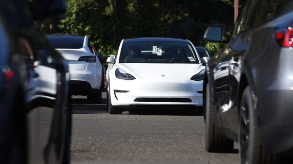 Илон Маск говорит, что китайские бренды электромобилей могут «уничтожить» конкурентов, поскольку доходы Tesla падают