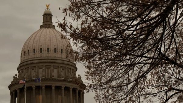 «Бегство под покровом темноты»: как запрет на аборты в Айдахо меняет беременность в штате