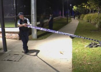 Подросток арестован за серию ножевых ранений в городском парке