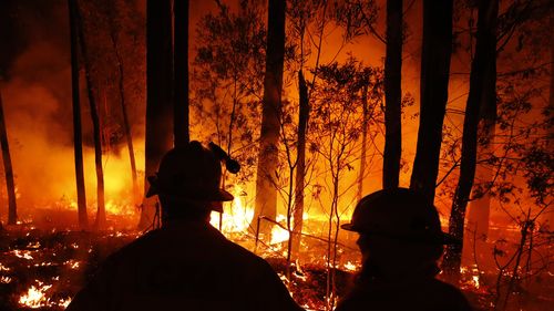 Правительство представило новую цель по сокращению выбросов и фонд с нулевым уровнем выбросов в размере 5 млрд долларов США