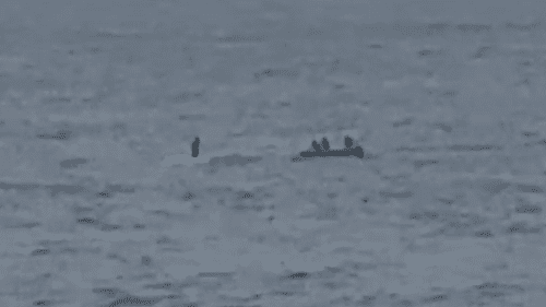 Власти получили шокирующее видео человека, стоящего на мертвом ките к югу от Сиднея Власти получили шокирующее видео человека, стоящего на мертвом ките к югу от Сиднея