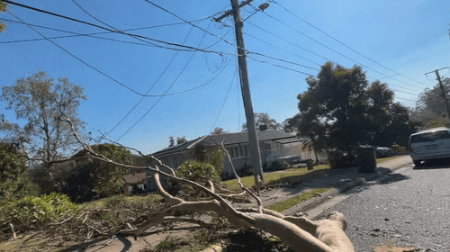 «Это просто ужасно»: огромное эвкалиптовое дерево рухнуло на семейный дом во время сильного шторма