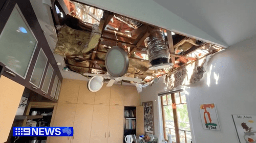 «Это просто ужасно»: огромное эвкалиптовое дерево рухнуло на семейный дом во время сильного шторма