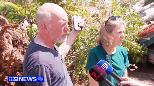 «Это просто ужасно»: огромное эвкалиптовое дерево рухнуло на семейный дом во время сильного шторма