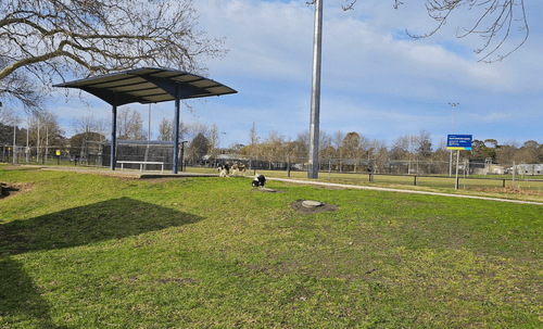 Подросток-крикетист борется за жизнь в больнице после травмы на разминке