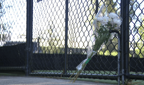 Подросток-крикетист борется за жизнь в больнице после травмы на разминке Подросток-крикетист борется за жизнь в больнице после травмы на разминке