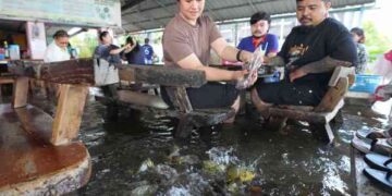 Затопленный ресторан в Таиланде порадовал посетителей плавающей рыбой