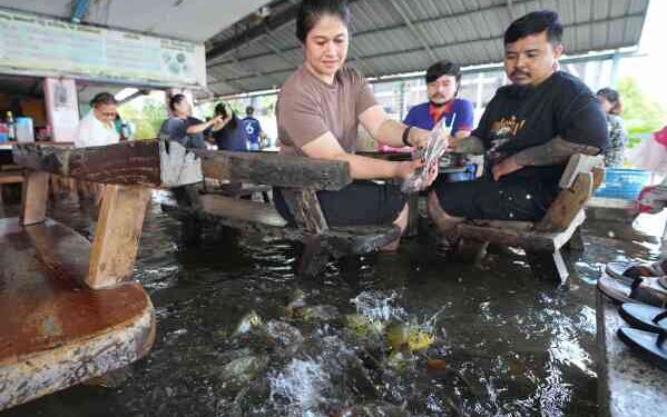 Затопленный ресторан в Таиланде порадовал посетителей плавающей рыбой