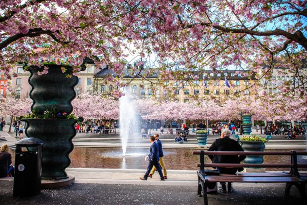 Более счастливая страна означает более здоровую — но только выше определенного порога