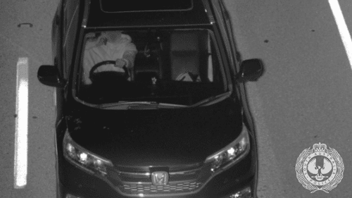 Самая раздражающая привычка водителей в Австралии может обойтись вам в штраф более чем в 500 долларов