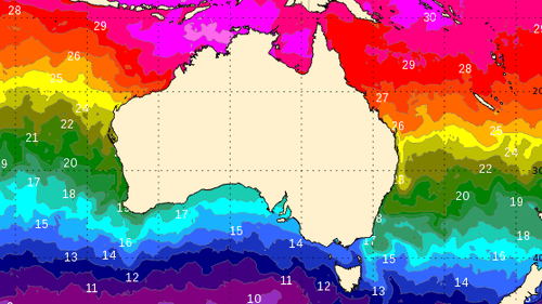 «Капелька» океана может превратиться в тропический циклон уже на следующей неделе «Капелька» океана может превратиться в тропический циклон уже на следующей неделе