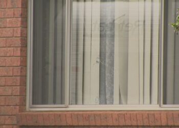 Мальчик и мужчина обвиняются в стрельбе на западе Сиднея