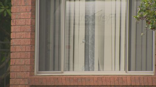 Мальчик и мужчина обвиняются в стрельбе на западе Сиднея Мальчик и мужчина обвиняются в стрельбе на западе Сиднея