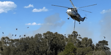 Лесной пожар, угрожавший дому престарелых, понижен в категории, но все еще не взят под контроль