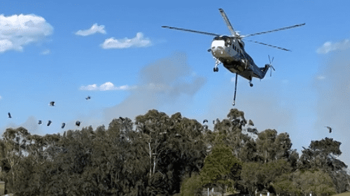 Лесной пожар, угрожавший дому престарелых, понижен в категории, но все еще не взят под контроль Лесной пожар, угрожавший дому престарелых, понижен в категории, но все еще не взят под контроль