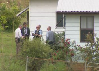 Семилетний ребенок побежал за помощью после того, как мать в долине Хантер погибла в результате предполагаемого домашнего насилия Семилетний ребенок побежал за помощью после того, как мать в долине Хантер погибла в результате предполагаемого домашнего насилия