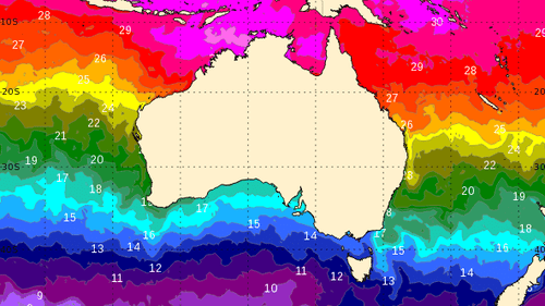Риск циклона повышен до «высокого», жителей призывают подготовиться