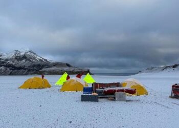Смертельный штамм птичьего гриппа впервые достиг территории Австралии Смертельный штамм птичьего гриппа впервые достиг территории Австралии
