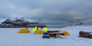 Смертельный штамм птичьего гриппа впервые достиг территории Австралии