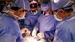 Врачи утверждают, что они «заметно приблизились» к возможности использования свиных почек для лечения людей.