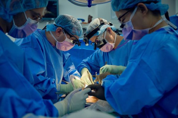 Врачи утверждают, что они «заметно приблизились» к возможности использования свиных почек для лечения людей.