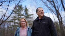 Врачи утверждают, что они «заметно приблизились» к возможности использования свиных почек для лечения людей.