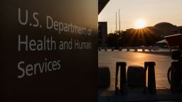 Врачи утверждают, что они «заметно приблизились» к возможности использования свиных почек для лечения людей.