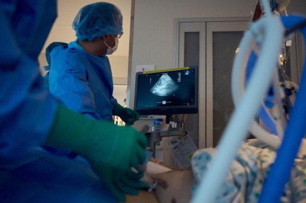 Врачи утверждают, что они «заметно приблизились» к возможности использования свиных почек для лечения людей.