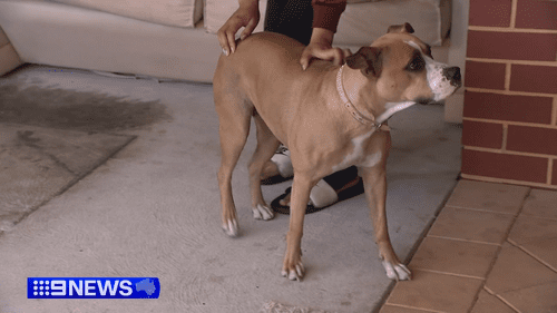 Водитель Uber-героя бросает работу, чтобы въехать в горящий дом