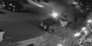 В результате «прицельной» стрельбы в Сиднее в дом попало до 40 пуль