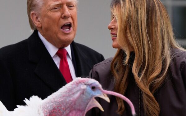 Иммигрантка, имеющая родственные связи с пресс-секретарем Белого дома Каролиной Ливитт, задержана иммиграционной и таможенной полицией