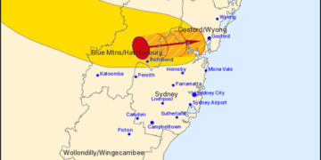 Мужчина погиб в результате падения дерева в результате непогоды в Новом Южном Уэльсе