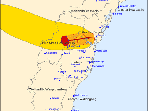 Мужчина погиб в результате падения дерева в результате непогоды в Новом Южном Уэльсе