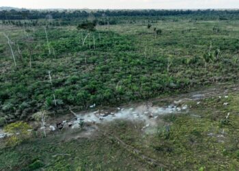Президент Мексики Шейнбаум выдвинул обвинения после инцидента с уличным домогательством Президент Мексики Шейнбаум выдвинул обвинения после инцидента с уличным домогательством