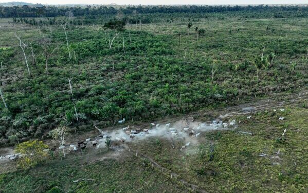Президент Мексики Шейнбаум выдвинул обвинения после инцидента с уличным домогательством Президент Мексики Шейнбаум выдвинул обвинения после инцидента с уличным домогательством