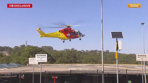 На отдаленном пляже, где акула убила женщину и ранила мужчину, «нет спасателя» На отдаленном пляже, где акула убила женщину и ранила мужчину, «нет спасателя»
