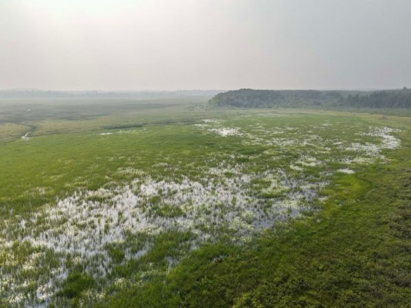 Поэзия даёт возможность старейшинам племен, страдающим деменцией, выразить себя.