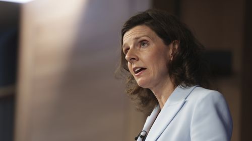 Известный неонацист обвиняется в предполагаемом преследовании федерального депутата в Интернете