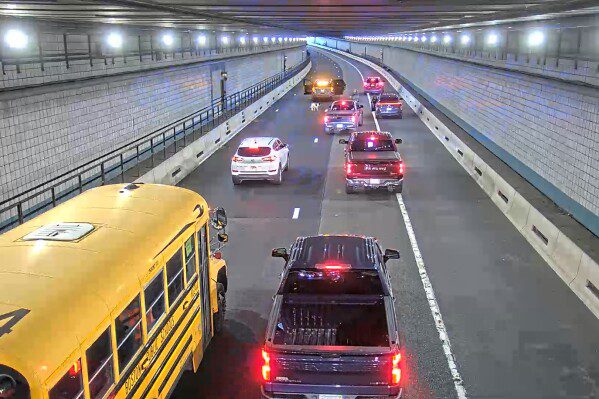 Редкие кадры показывают, как рыбы-прилипал занимаются серфингом на ките во время самой дикой морской прогулки.