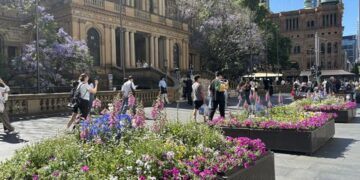 «Смешно дорого»: городской совет потратил почти 20 миллионов долларов на ящики для рассады