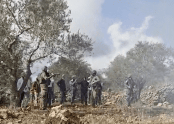 Жестокие избиения и гибнущие деревья: как насилие со стороны поселенцев на Западном берегу влияет на сбор оливок палестинцами