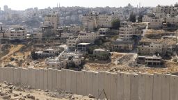 Жестокие избиения и гибнущие деревья: как насилие со стороны поселенцев на Западном берегу влияет на сбор оливок палестинцами