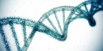 Ученые отредактировали ген, который может навсегда снизить высокий уровень холестерина.