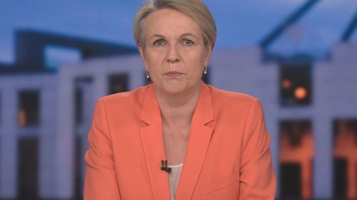 «Бесстыдное привлечение внимания»: политики критикуют выходку Полин Хэнсон с паранджой