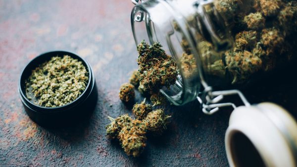 В этот День благодарения курильщики травки благодарны за «Зелёную среду» В этот День благодарения курильщики травки благодарны за «Зелёную среду»