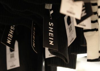 Ультрабыстрая мода и «детские» секс-куклы: почему Шейн не завоевывает друзей во Франции Ультрабыстрая мода и «детские» секс-куклы: почему Шейн не завоевывает друзей во Франции