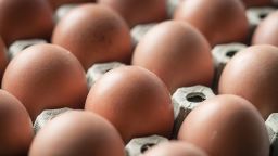 Вспышка сальмонеллёза в нескольких штатах может быть связана с устрицами. Что следует знать людям.