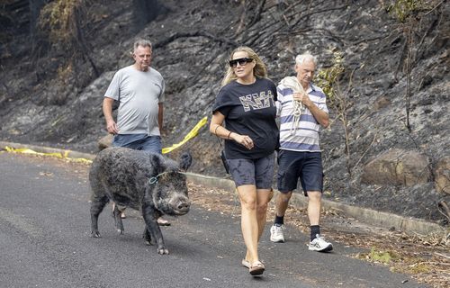 «Армагеддон»: семьи возвращаются в опустошение после лесного пожара в Кулевоне