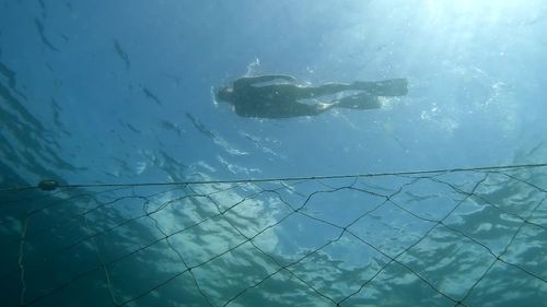 Смертельные нападения акул привели к запуску беспилотников на пляжах Нового Южного Уэльса стоимостью 2,5 млн долларов