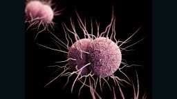 FDA одобрило первые за десятилетия новые антибиотики для лечения гонореи, надеясь таким образом бороться с лекарственной устойчивостью.